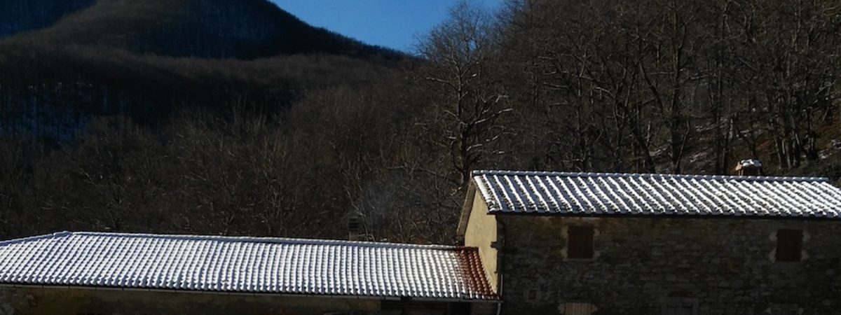 I colori dell’autunno. Escursione a Cascina di Spedaletto – Poggio Alto – il Faggione di Luogomano- Le Barbe