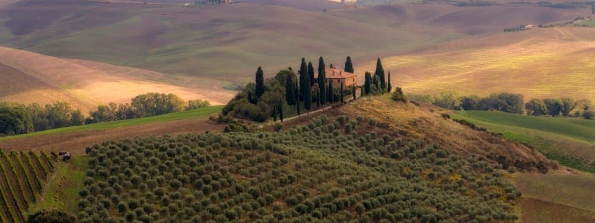 Via Francigena 35^ tappa: Ponte D’Arbia – San Quirico D’Orcia